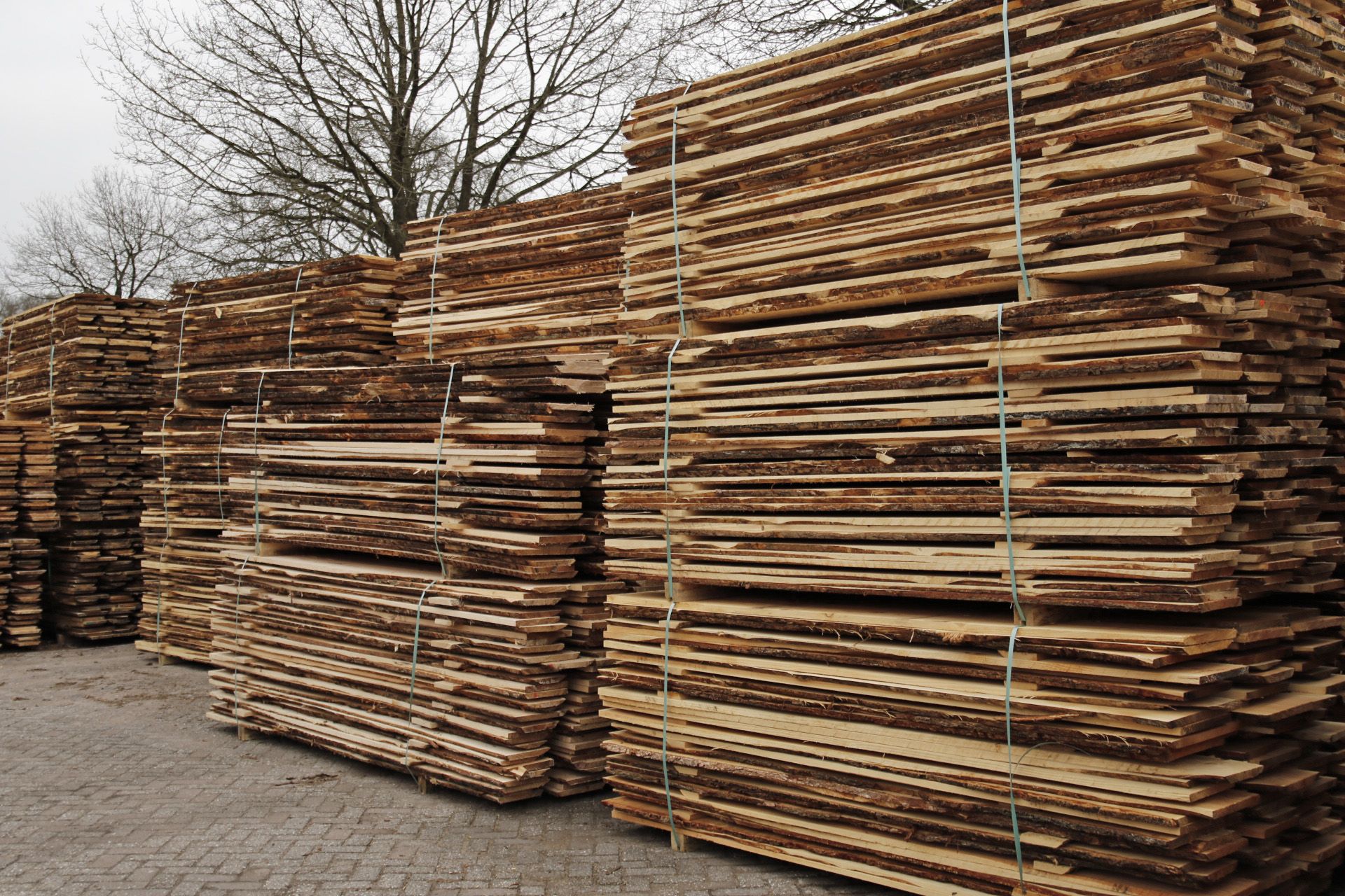 Odoo image et bloc de texte